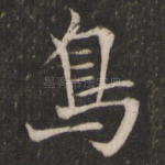 鸟