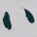 八