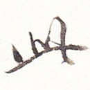 此