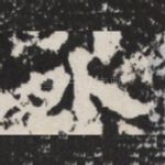 外