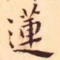 莲