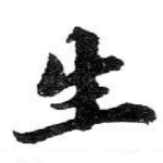 生