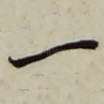 一