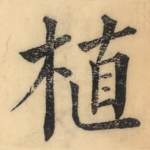 植