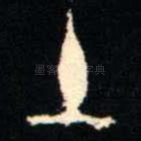 土
