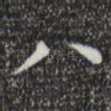 八