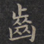 齿
