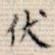 伏