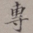 专
