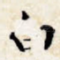 白