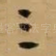 三