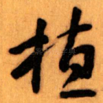 植