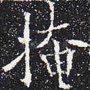 掩