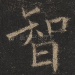 智