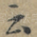 云