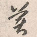 美