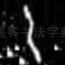 乙