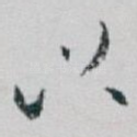 以