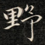 野