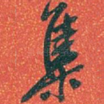 集