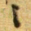 之