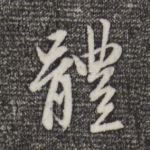 体