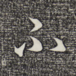 不