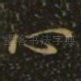 心