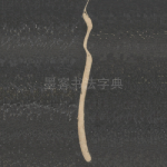 具