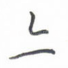 亦