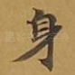 身