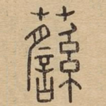 蘨
