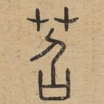 苕