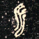 永
