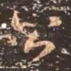 公