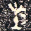 生