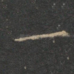 一