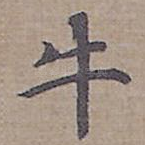 牛