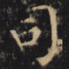 司