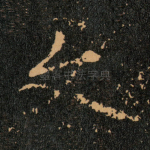 文