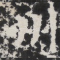 州