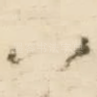 八