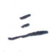 三