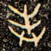 奉