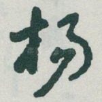 杨