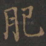 肥