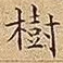 樹