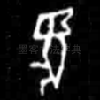 兔