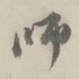 师