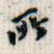 所